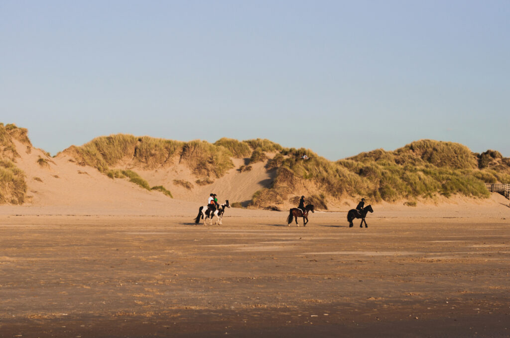 Group of people riding horses along a sandy beach near grassy dunes