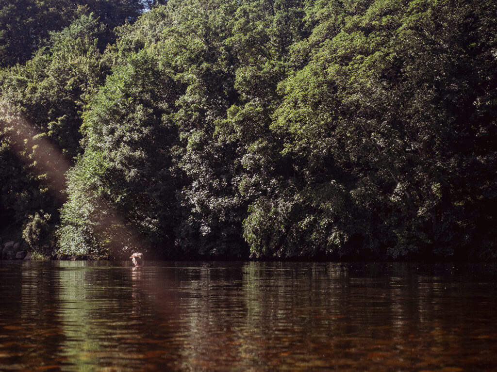 A person swimming in a calm river with dense trees along the bank and sunlight reflecting on the water.