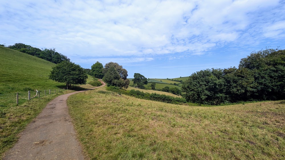 A long path surrounded by fields and trees in Sharpham, just south of Totnes.