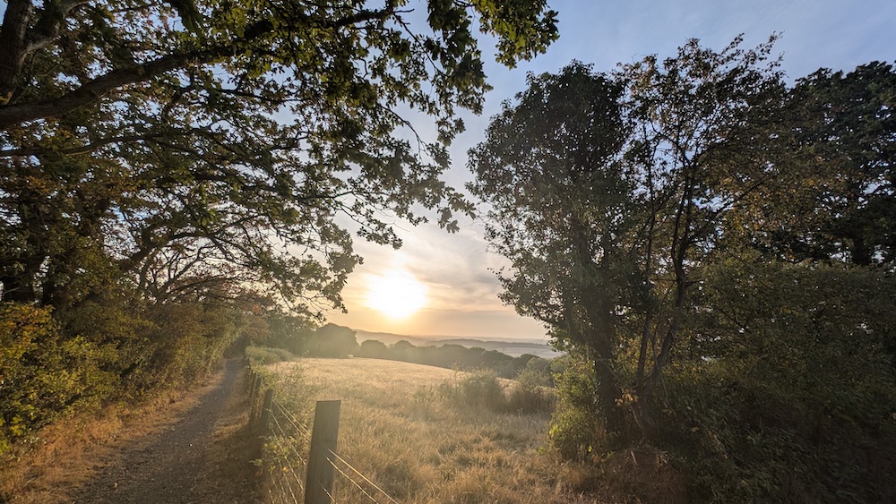 A path going into the sunset, with trees to the left, a field of long grass to to the right and a view across Devon towards a setting sun.